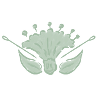 What our customers say